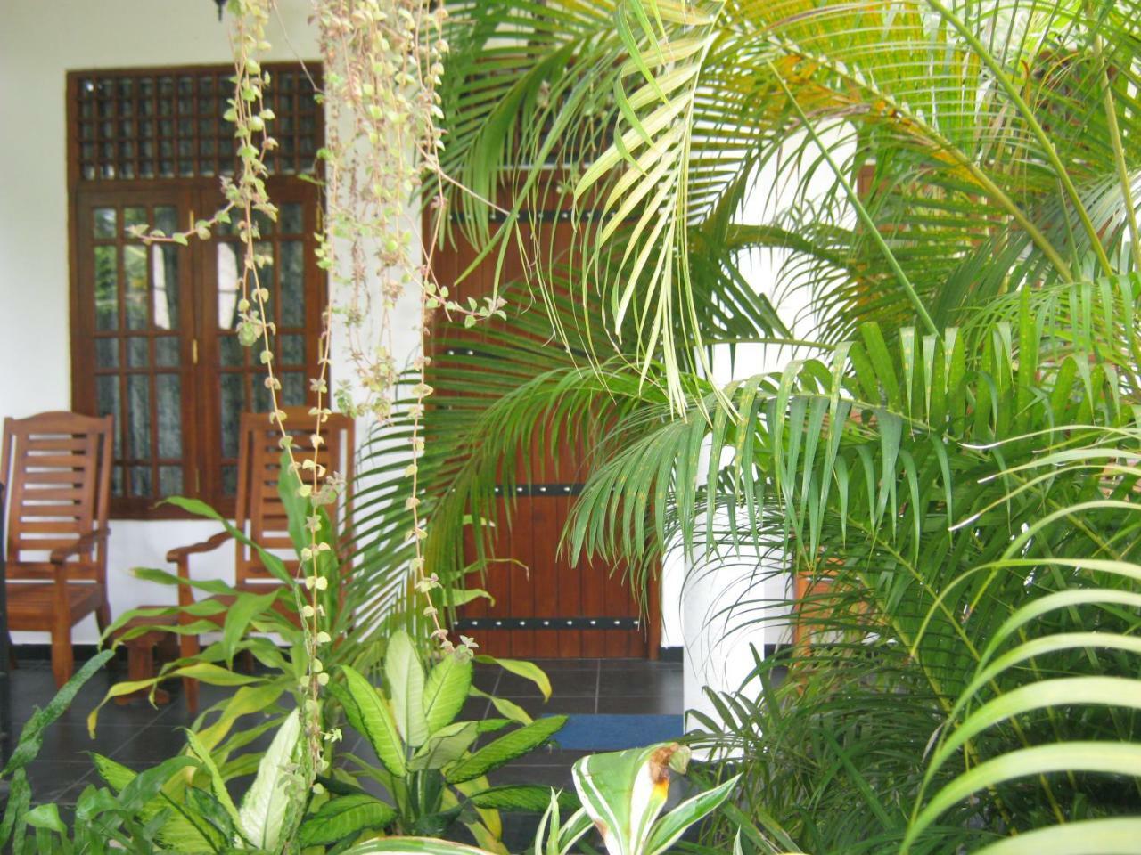 Golden Pearl Safari Villa Udawalawe Kültér fotó